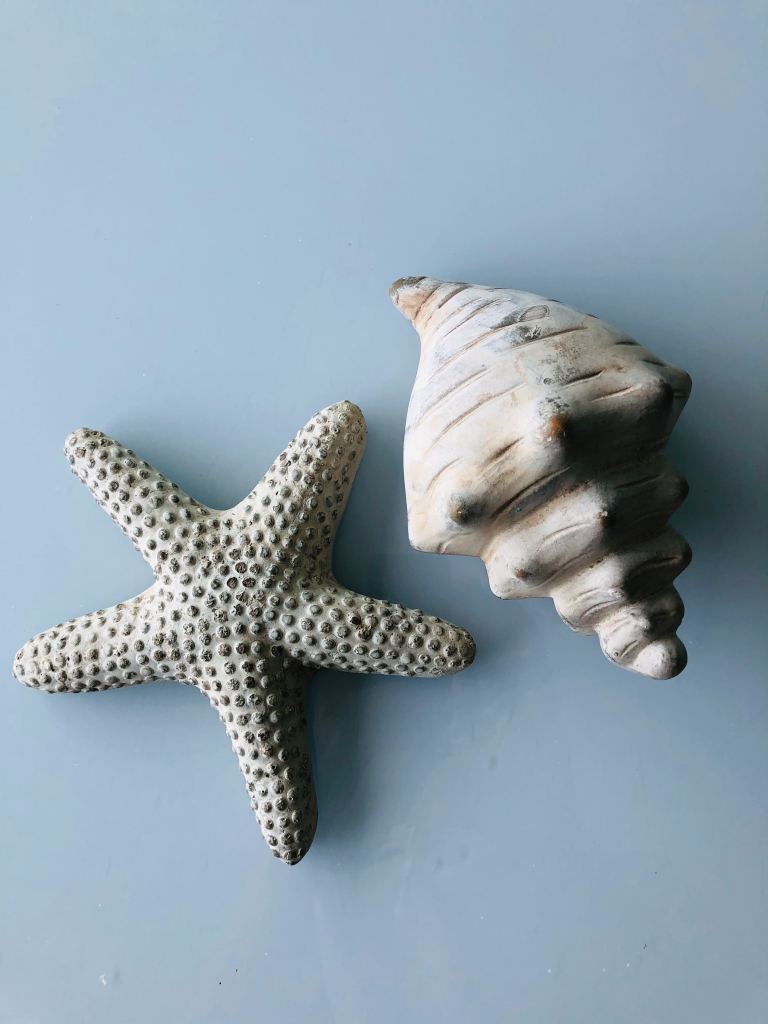 two-shells-white-starfish-and-conch