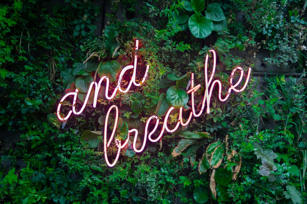 an-breath-in-neon-sign-on-greenery